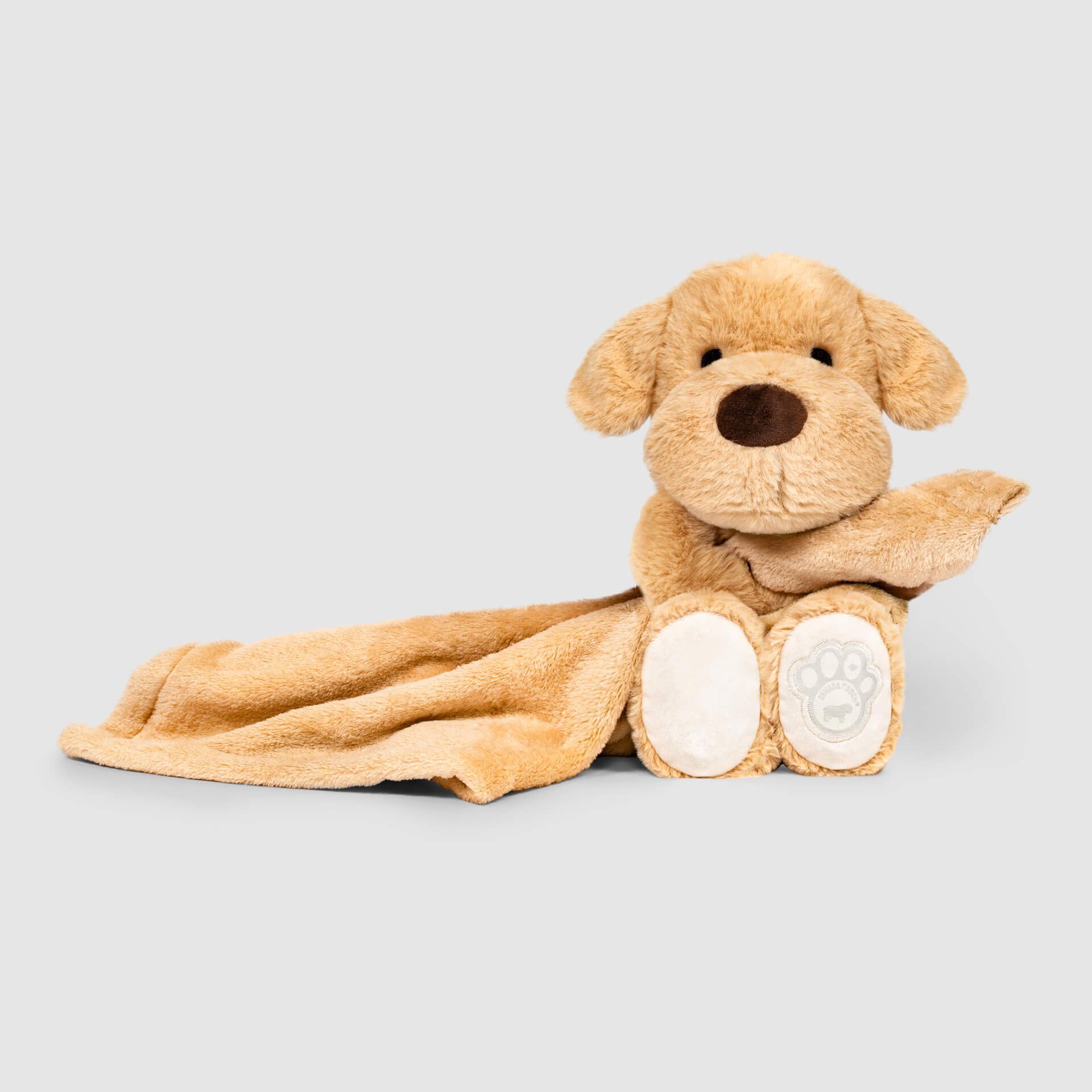 Weighted Calming Toy N8
