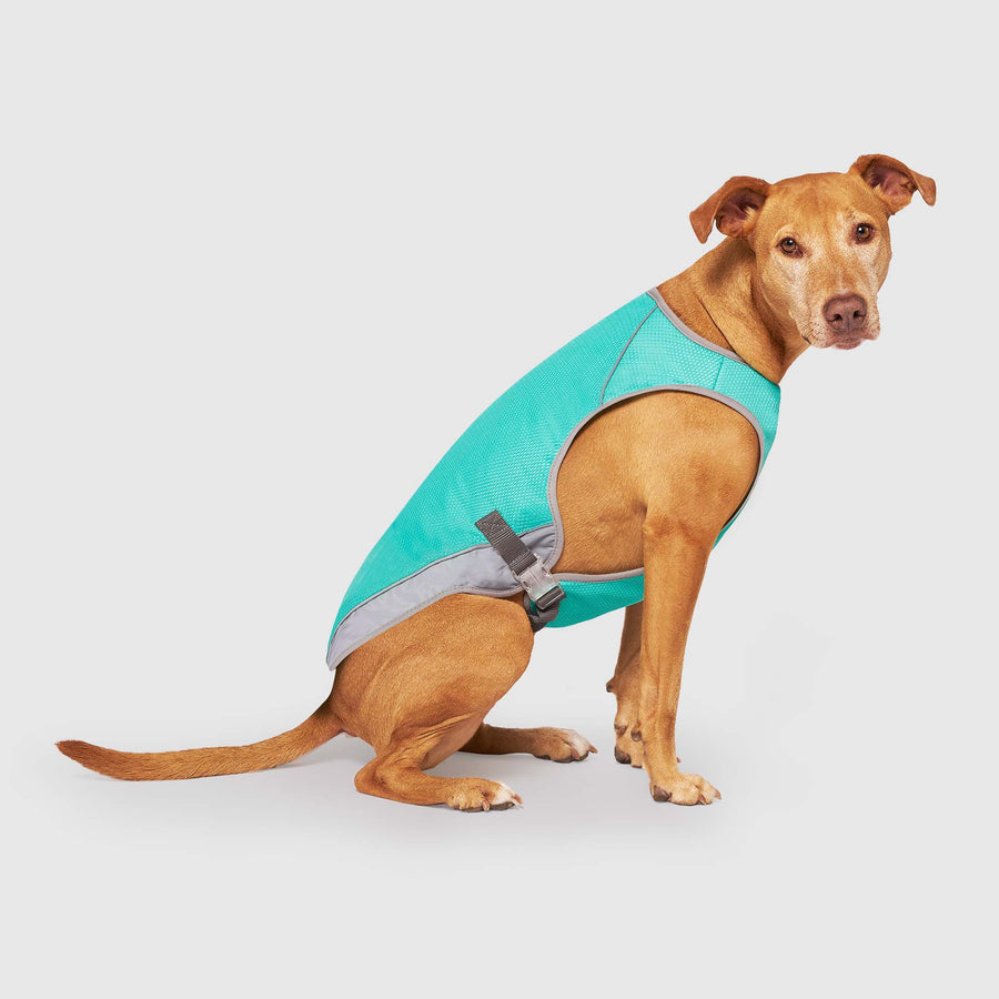 Chill Seeker Cooling Vest Wet Reveal X6