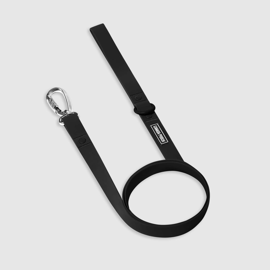Waterproof Leash Q6