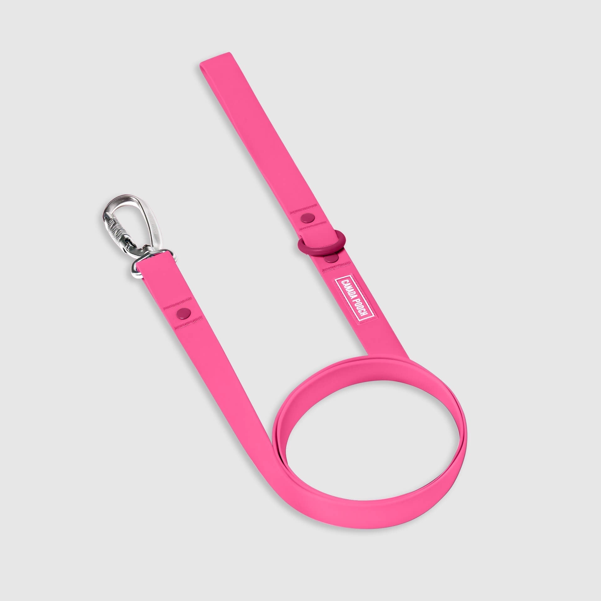 Waterproof Leash Q6