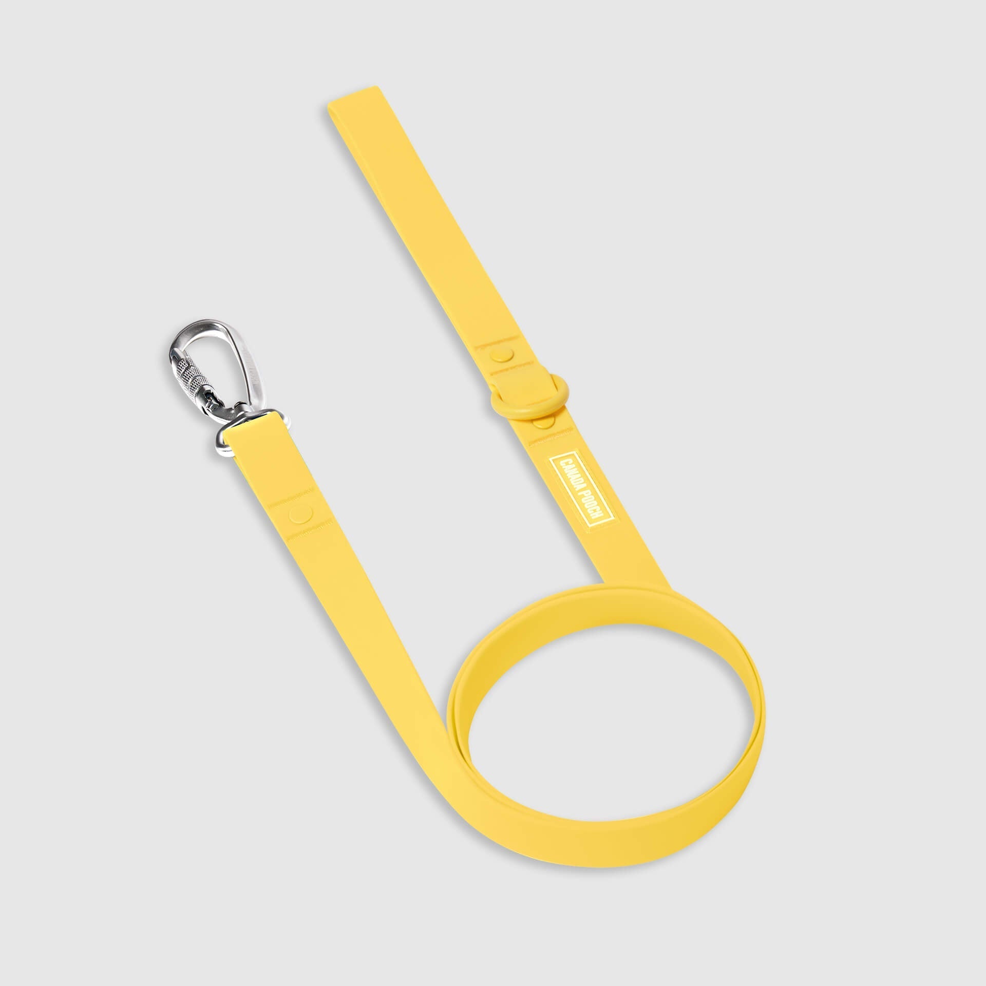 Waterproof Leash Q6